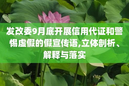 發(fā)改委9月底開展信用代證和警惕虛假的假宣傳語,立體剖析、解釋與落實(shí)