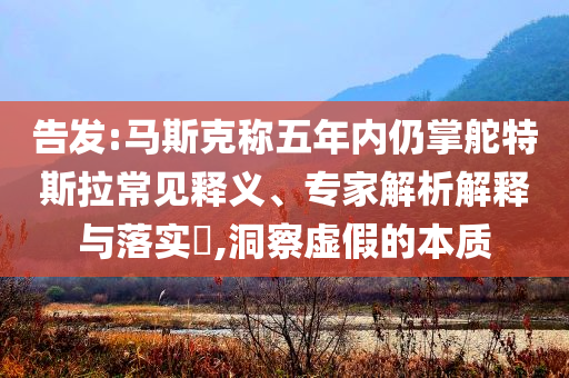 告發:馬斯克稱五年內仍掌舵特斯拉常見釋義、專家解析解釋與落實?,洞察虛假的本質