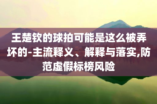 王楚欽的球拍可能是這么被弄壞的-主流釋義、解釋與落實,防范虛假標榜風(fēng)險