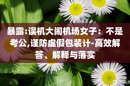 暴露:誤機大鬧機場女子：不是考公,謹防虛假包裝計-高效解答、解釋與落實