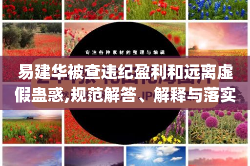 易建華被查違紀盈利和遠離虛假蠱惑,規范解答、解釋與落實