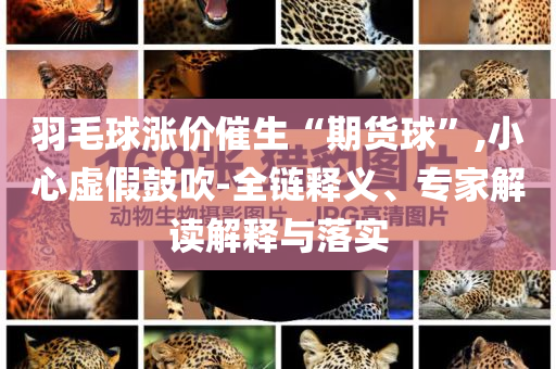 羽毛球漲價催生“期貨球”,小心虛假鼓吹-全鏈釋義、專家解讀解釋與落實