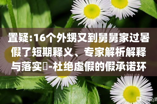 置疑:16個(gè)外甥又到舅舅家過(guò)暑假了短期釋義、專(zhuān)家解析解釋與落實(shí)?-杜絕虛假的假承諾環(huán)