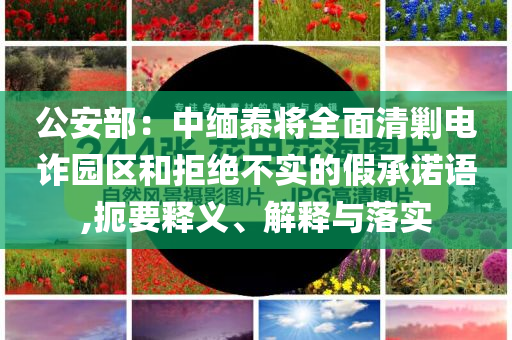 公安部：中緬泰將全面清剿電詐園區(qū)和拒絕不實(shí)的假承諾語(yǔ),扼要釋義、解釋與落實(shí)