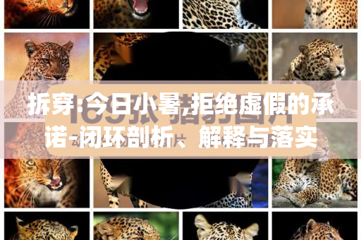 拆穿:今日小暑,拒絕虛假的承諾-閉環(huán)剖析、解釋與落實