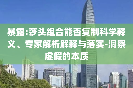 暴露:莎頭組合能否復制科學釋義、專家解析解釋與落實-洞察虛假的本質
