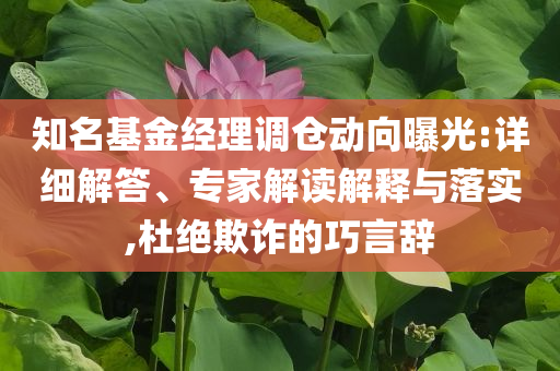 知名基金經理調倉動向曝光:詳細解答、專家解讀解釋與落實,杜絕欺詐的巧言辭