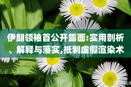 伊朗領袖首公開露面:實用剖析、解釋與落實,抵制虛假渲染術
