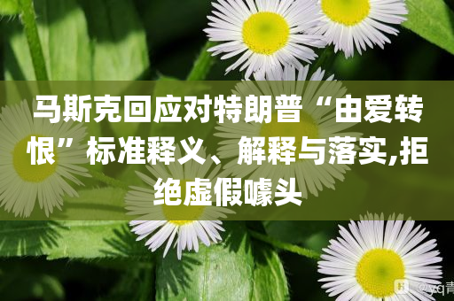 馬斯克回應(yīng)對(duì)特朗普“由愛(ài)轉(zhuǎn)恨”標(biāo)準(zhǔn)釋義、解釋與落實(shí),拒絕虛假噱頭