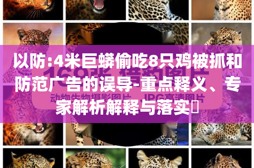 以防:4米巨蟒偷吃8只雞被抓和防范廣告的誤導(dǎo)-重點釋義、專家解析解釋與落實?