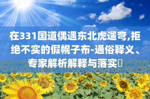在331國道偶遇東北虎遛彎,拒絕不實的假幌子布-通俗釋義、專家解析解釋與落實?