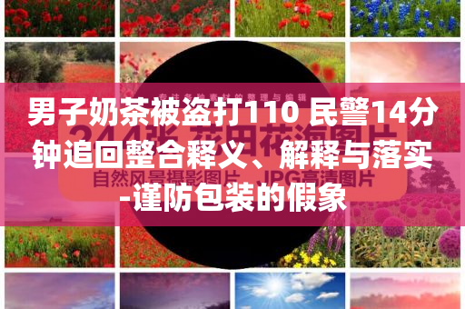 男子奶茶被盜打110 民警14分鐘追回整合釋義、解釋與落實-謹防包裝的假象