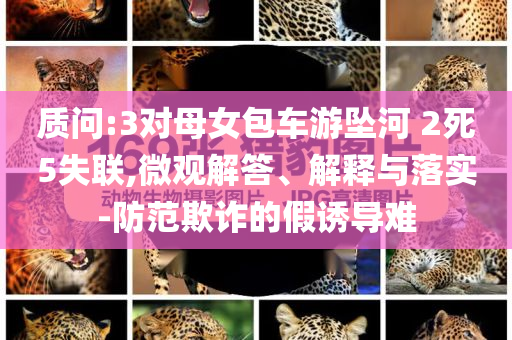 質問:3對母女包車游墜河 2死5失聯,微觀解答、解釋與落實-防范欺詐的假誘導難