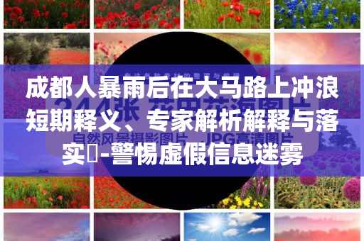 成都人暴雨后在大馬路上沖浪短期釋義、專家解析解釋與落實?-警惕虛假信息迷霧