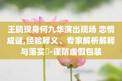 王鷗現(xiàn)身何九華演出現(xiàn)場 戀情成謎,經(jīng)驗(yàn)釋義、專家解析解釋與落實(shí)?-謹(jǐn)防虛假包裝