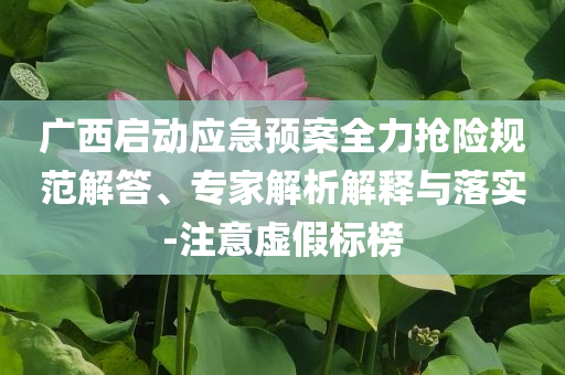 廣西啟動應急預案全力搶險規范解答、專家解析解釋與落實-注意虛假標榜