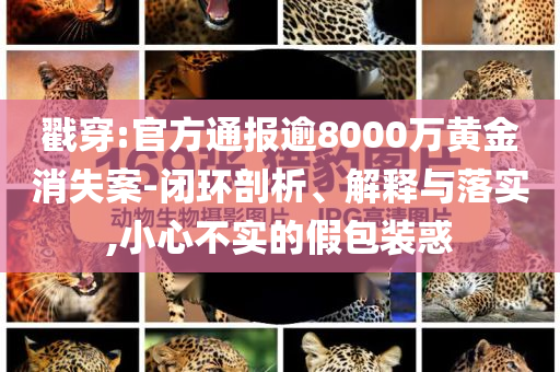 戳穿:官方通報逾8000萬黃金消失案-閉環(huán)剖析、解釋與落實,小心不實的假包裝惑