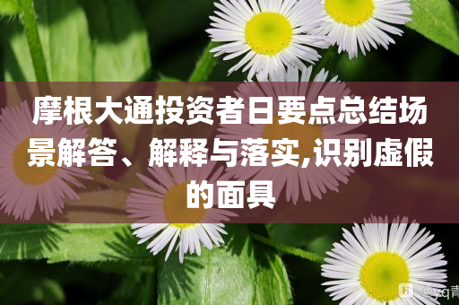摩根大通投資者日要點總結場景解答、解釋與落實,識別虛假的面具