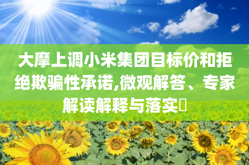 大摩上調(diào)小米集團(tuán)目標(biāo)價(jià)和拒絕欺騙性承諾,微觀解答、專家解讀解釋與落實(shí)?