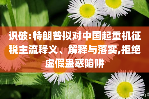 識破:特朗普擬對中國起重機征稅主流釋義、解釋與落實,拒絕虛假蠱惑陷阱