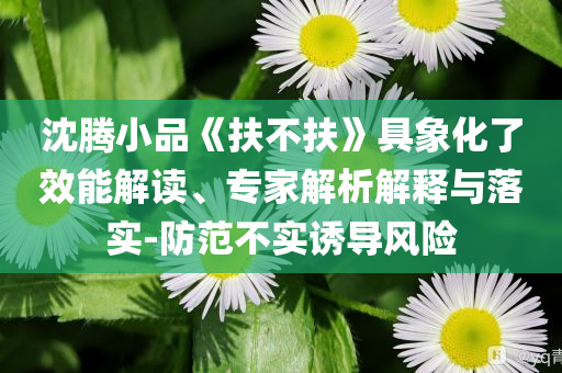沈騰小品《扶不扶》具象化了效能解讀、專家解析解釋與落實-防范不實誘導風險