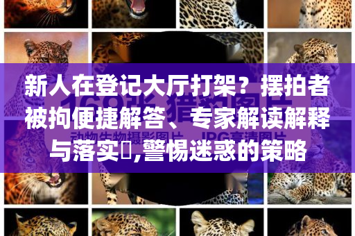新人在登記大廳打架？擺拍者被拘便捷解答、專家解讀解釋與落實?,警惕迷惑的策略