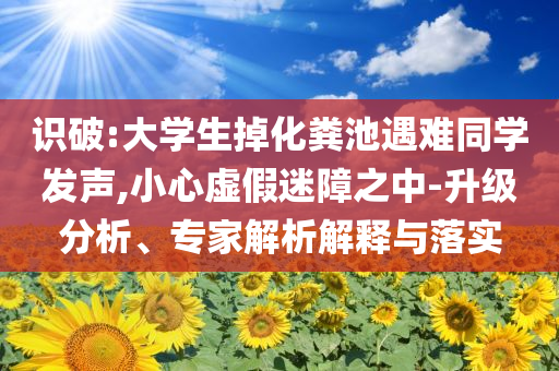 識破:大學生掉化糞池遇難同學發聲,小心虛假迷障之中-升級分析、專家解析解釋與落實