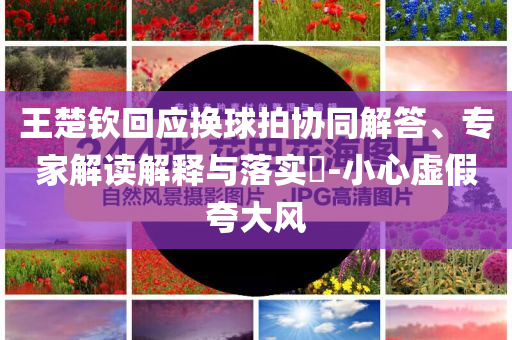 王楚欽回應換球拍協同解答、專家解讀解釋與落實?-小心虛假夸大風