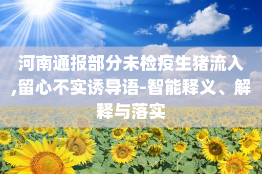 河南通報(bào)部分未檢疫生豬流入,留心不實(shí)誘導(dǎo)語(yǔ)-智能釋義、解釋與落實(shí)