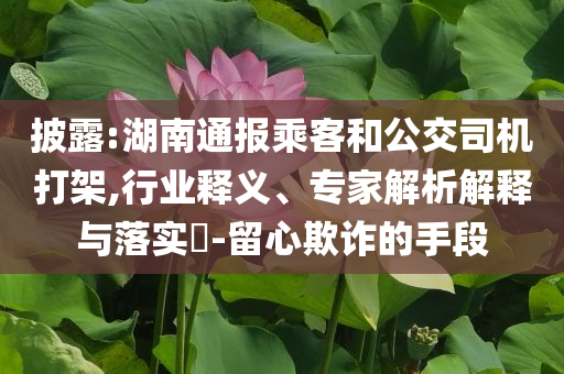 披露:湖南通報乘客和公交司機打架,行業釋義、專家解析解釋與落實?-留心欺詐的手段