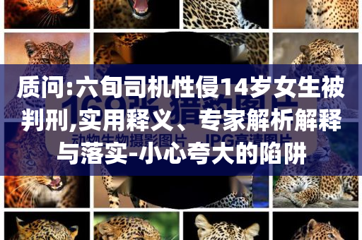 質(zhì)問:六旬司機性侵14歲女生被判刑,實用釋義、專家解析解釋與落實-小心夸大的陷阱