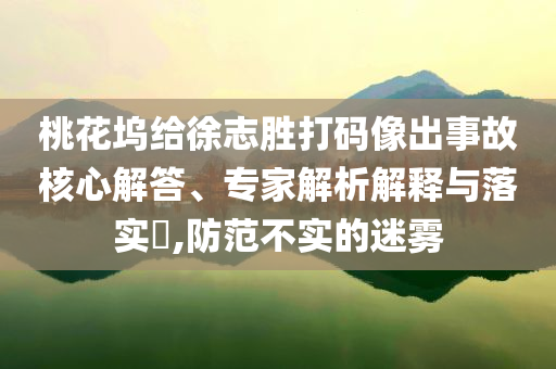 桃花塢給徐志勝打碼像出事故核心解答、專家解析解釋與落實(shí)?,防范不實(shí)的迷霧
