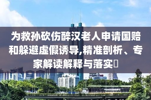 為救孫砍傷醉漢老人申請國賠和躲避虛假誘導,精準剖析、專家解讀解釋與落實?