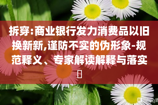 拆穿:商業銀行發力消費品以舊換新新,謹防不實的偽形象-規范釋義、專家解讀解釋與落實?