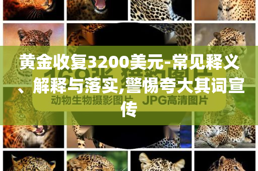 黃金收復3200美元-常見釋義、解釋與落實,警惕夸大其詞宣傳