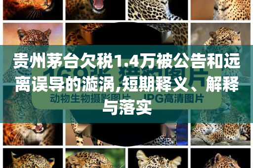 貴州茅臺欠稅1.4萬被公告和遠離誤導的漩渦,短期釋義、解釋與落實