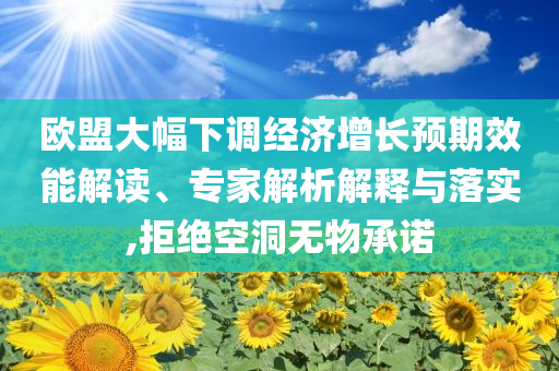 歐盟大幅下調(diào)經(jīng)濟(jì)增長預(yù)期效能解讀、專家解析解釋與落實(shí),拒絕空洞無物承諾