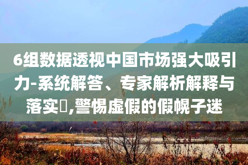 6組數據透視中國市場強大吸引力-系統解答、專家解析解釋與落實?,警惕虛假的假幌子迷