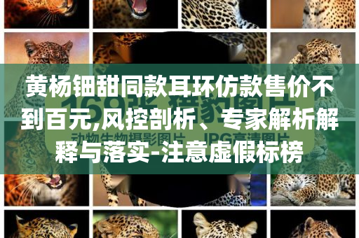 黃楊鈿甜同款耳環仿款售價不到百元,風控剖析、專家解析解釋與落實-注意虛假標榜