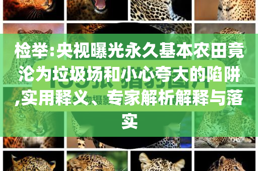 檢舉:央視曝光永久基本農田竟淪為垃圾場和小心夸大的陷阱,實用釋義、專家解析解釋與落實