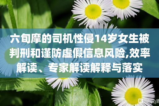 六旬摩的司機(jī)性侵14歲女生被判刑和謹(jǐn)防虛假信息風(fēng)險(xiǎn),效率解讀、專家解讀解釋與落實(shí)