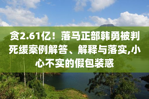 貪2.61億！落馬正部韓勇被判死緩案例解答、解釋與落實,小心不實的假包裝惑