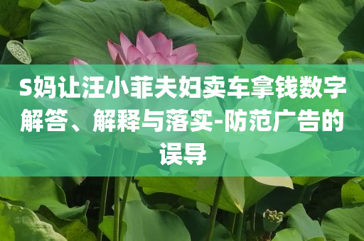 S媽讓汪小菲夫婦賣車拿錢數字解答、解釋與落實-防范廣告的誤導