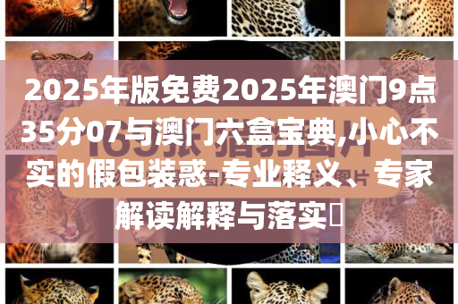 2025年版免費2025年澳門9點35分07與澳門六盒寶典,小心不實的假包裝惑-專業釋義、專家解讀解釋與落實?