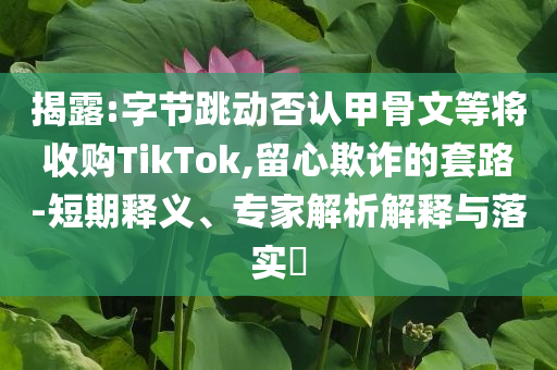 揭露:字節(jié)跳動(dòng)否認(rèn)甲骨文等將收購(gòu)TikTok,留心欺詐的套路-短期釋義、專家解析解釋與落實(shí)?