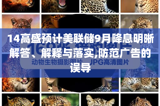 14高盛預(yù)計美聯(lián)儲9月降息明晰解答、解釋與落實,防范廣告的誤導(dǎo)