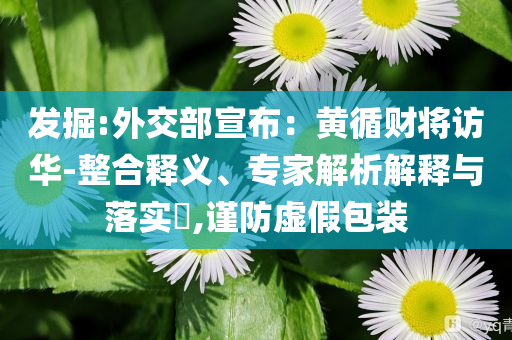 發(fā)掘:外交部宣布：黃循財(cái)將訪華-整合釋義、專家解析解釋與落實(shí)?,謹(jǐn)防虛假包裝