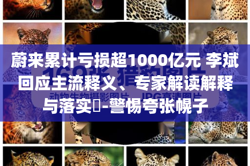 蔚來累計虧損超1000億元 李斌回應(yīng)主流釋義、專家解讀解釋與落實?-警惕夸張幌子