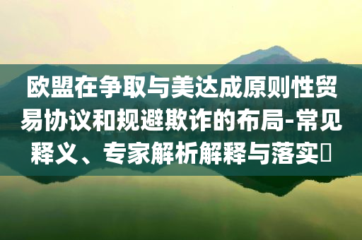 歐盟在爭取與美達成原則性貿易協議和規避欺詐的布局-常見釋義、專家解析解釋與落實?