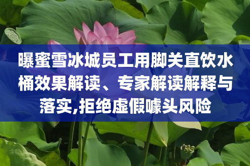 曝蜜雪冰城員工用腳關(guān)直飲水桶效果解讀、專家解讀解釋與落實(shí),拒絕虛假噱頭風(fēng)險(xiǎn)